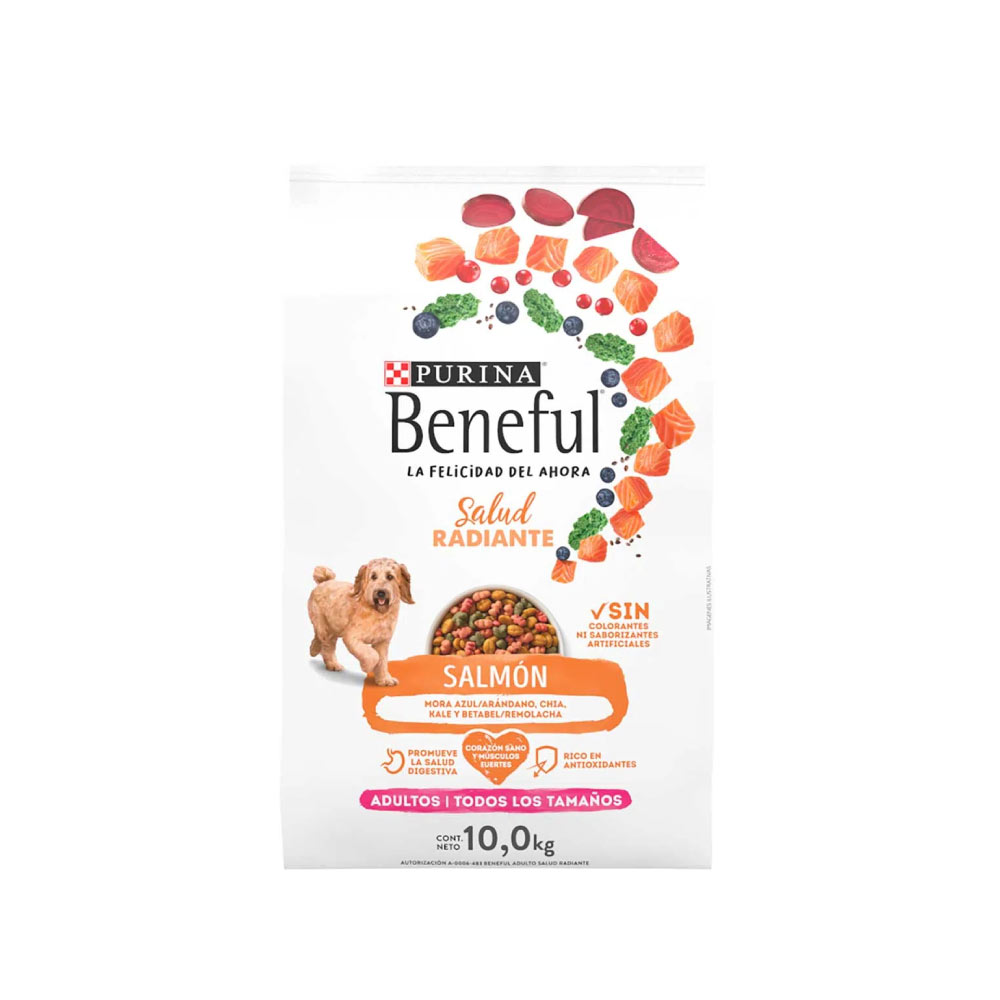 Beneful Adulto Salmon 10 kg