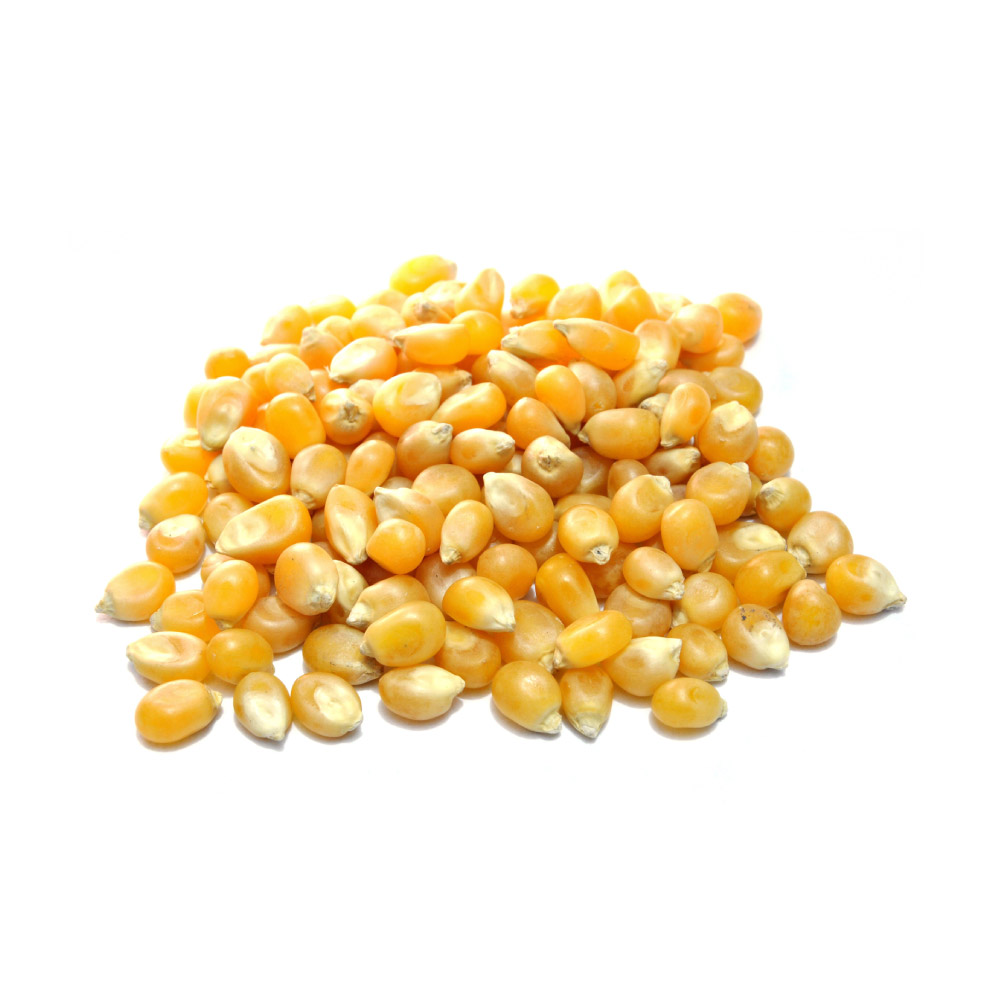 Maíz Palomero a Granel 1Kg