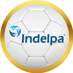 Logotipo de Indelpa en balón de futbol con marco dorado, acceso a sus productos