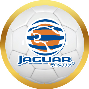 Logotipo de Jaguar Pactiv en balón de futbol con marco dorado, acceso a sus productos