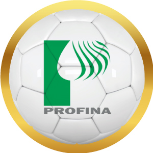 Logotipo de Profina en balón de futbol con marco dorado, acceso a sus productos