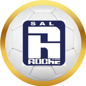 Logotipo de Sal Roche en balón de futbol con marco dorado, acceso a sus productos